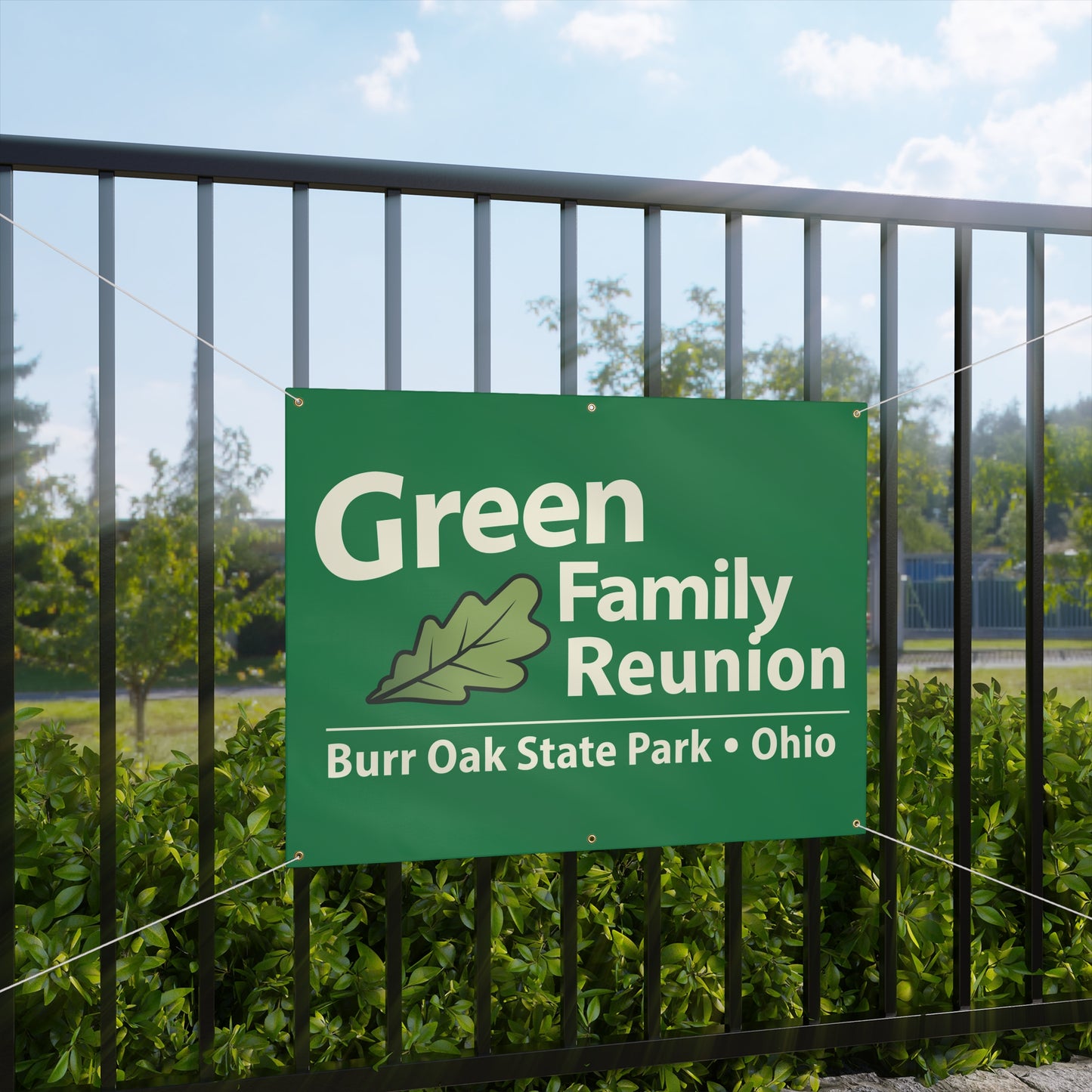 Green Family Reunion Banner