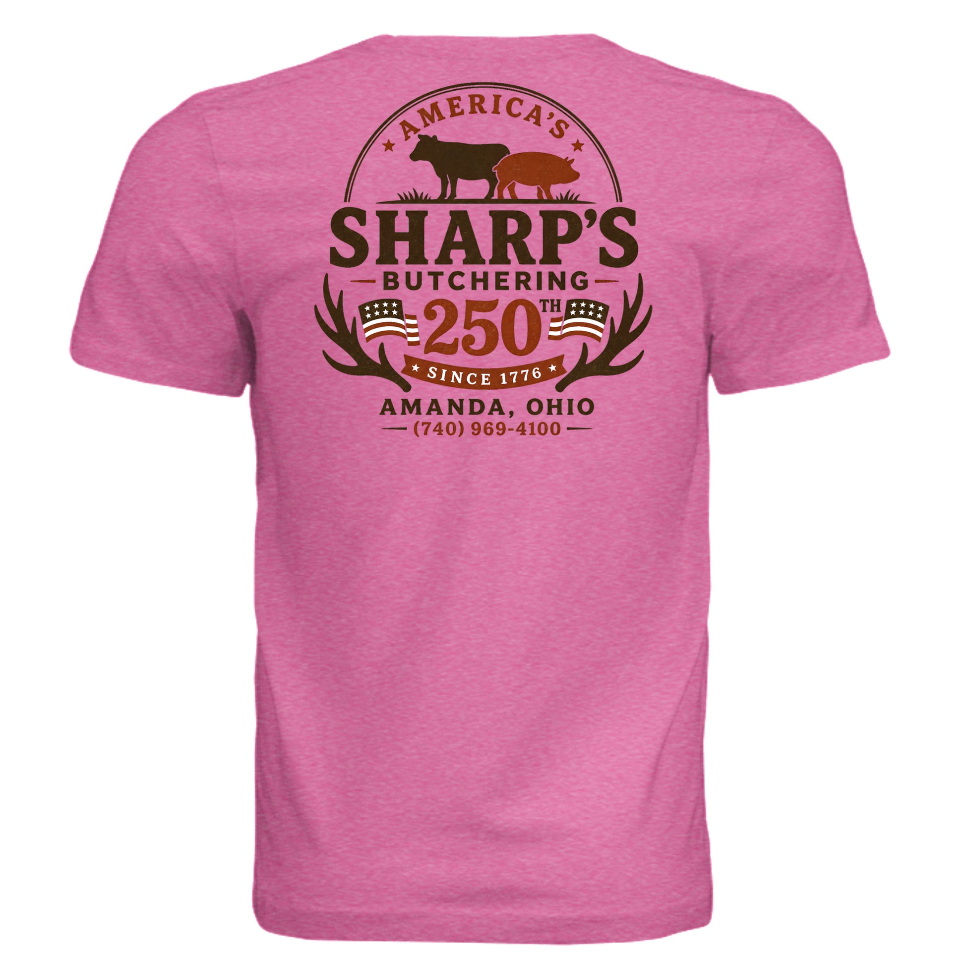Charity Pink Triblend - 3413C - BACK
